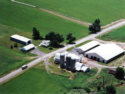 The Roz Bed and Breakfast